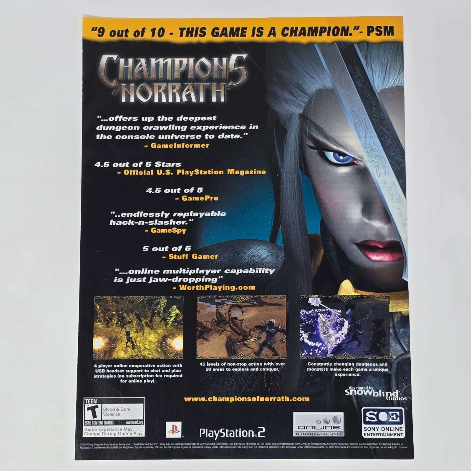 Champions of Norrath PlayStation 2 PS2 Reviews Print Ad/Poster Art
