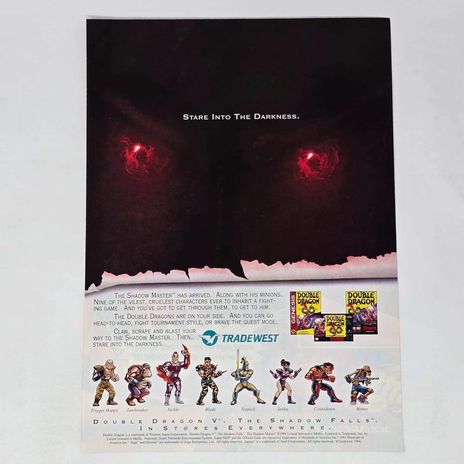 Double Dragon The Shadow Falls Genesis SNES Jaguar Darkness Print Ad/Poster Art