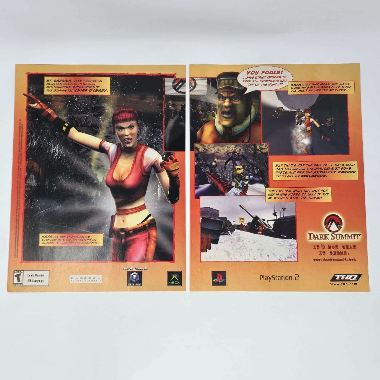 Dark Summit Xbox PlayStation 2 PS2 GameCube You Fools Print Ad/Poster Promo Art