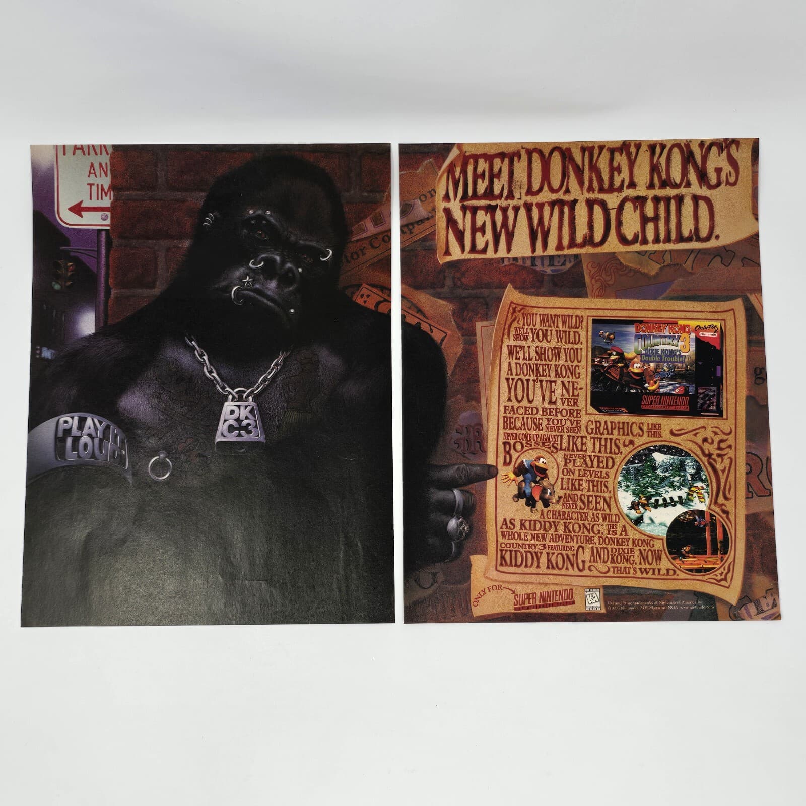 Donkey Kong Country 3 Super Nintendo SNES Wild Child Print Ad/Poster Promo Art