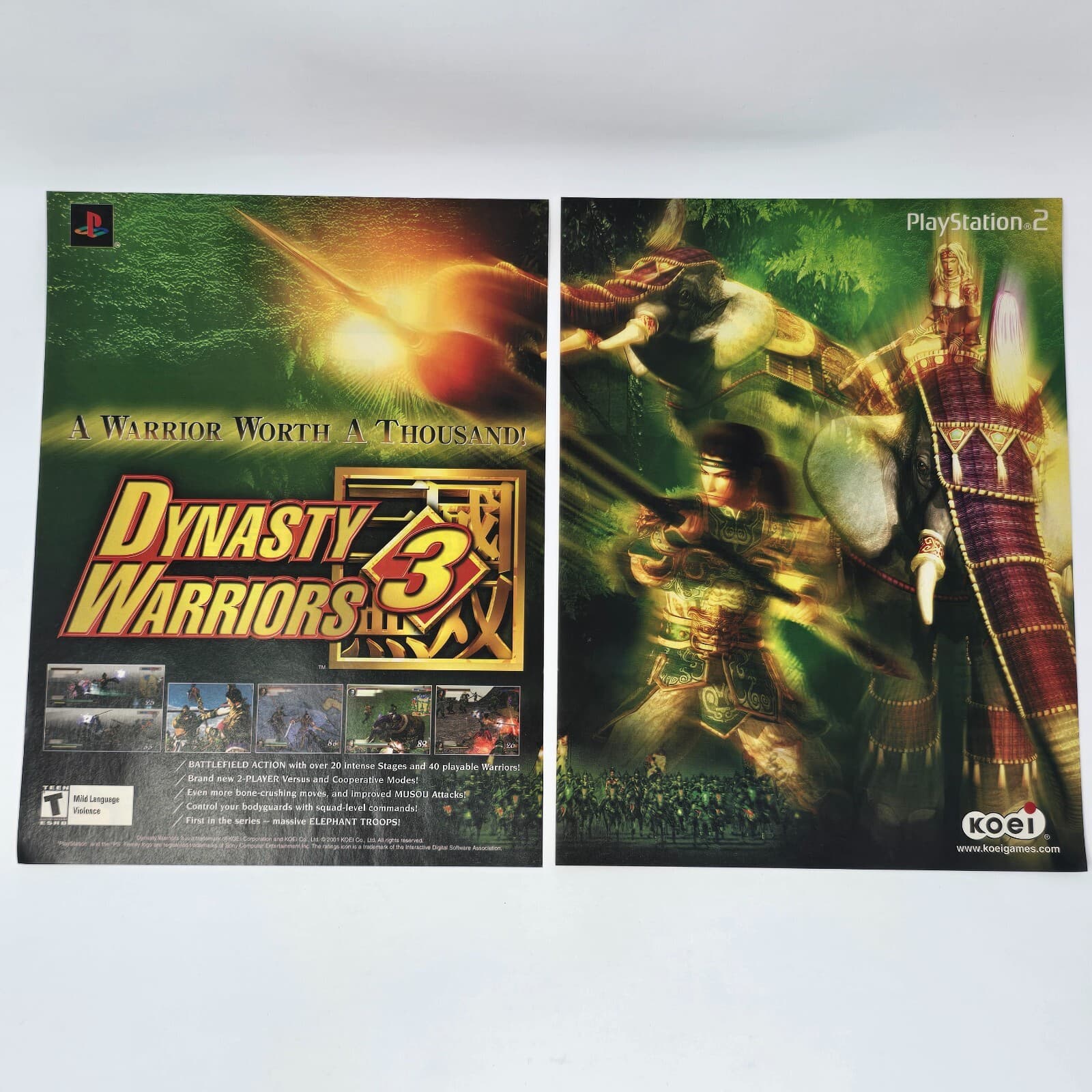 Dynasty Warriors 3 Sony PlayStation 2 PS2 Thousand Print Ad/Poster Promo Art
