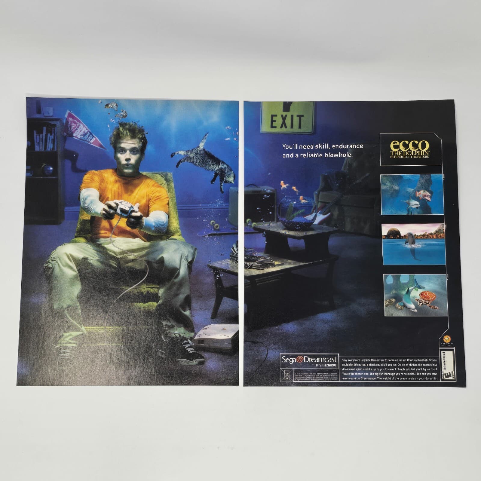 Ecco the Dolphin Defender Sega Dreamcast Blowhole Print Ad/Poster Promo Art