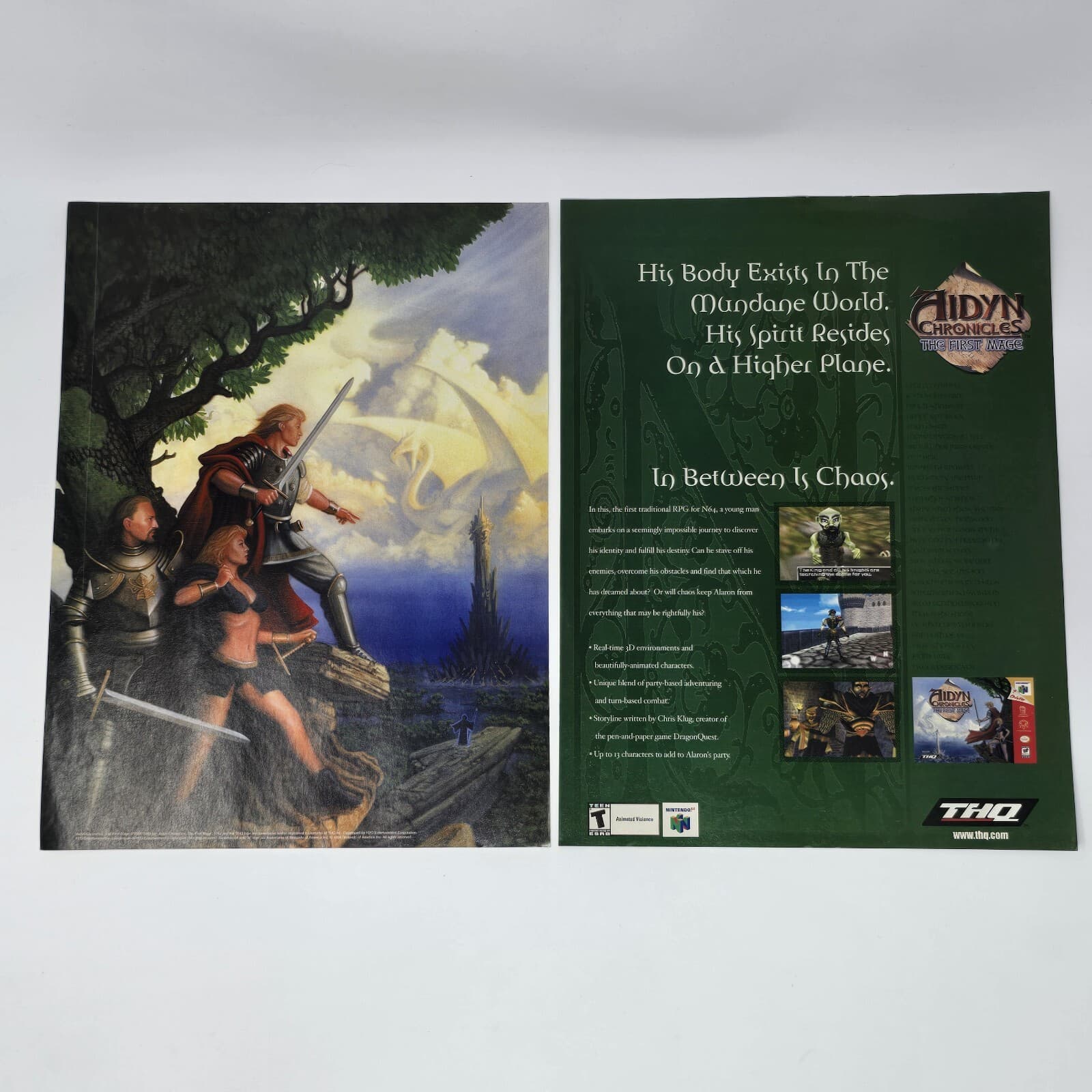 Aidyn Chronicles The First Mage N64 His Body Print Ad/Poster Official Promo Art