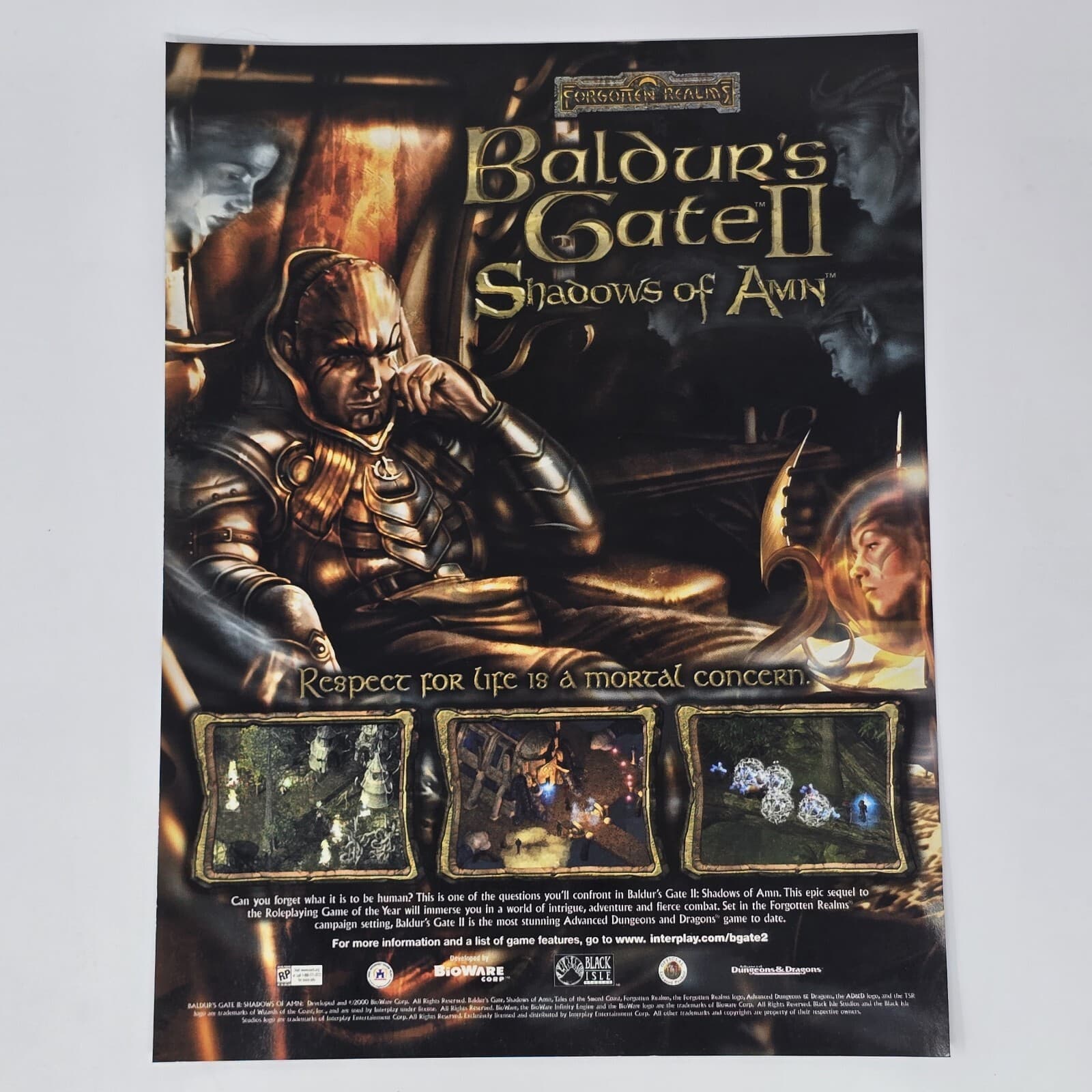 Baldur's Gate II 2 Shadows of Amn Mortal Concern Print Ad/Poster Promo Art