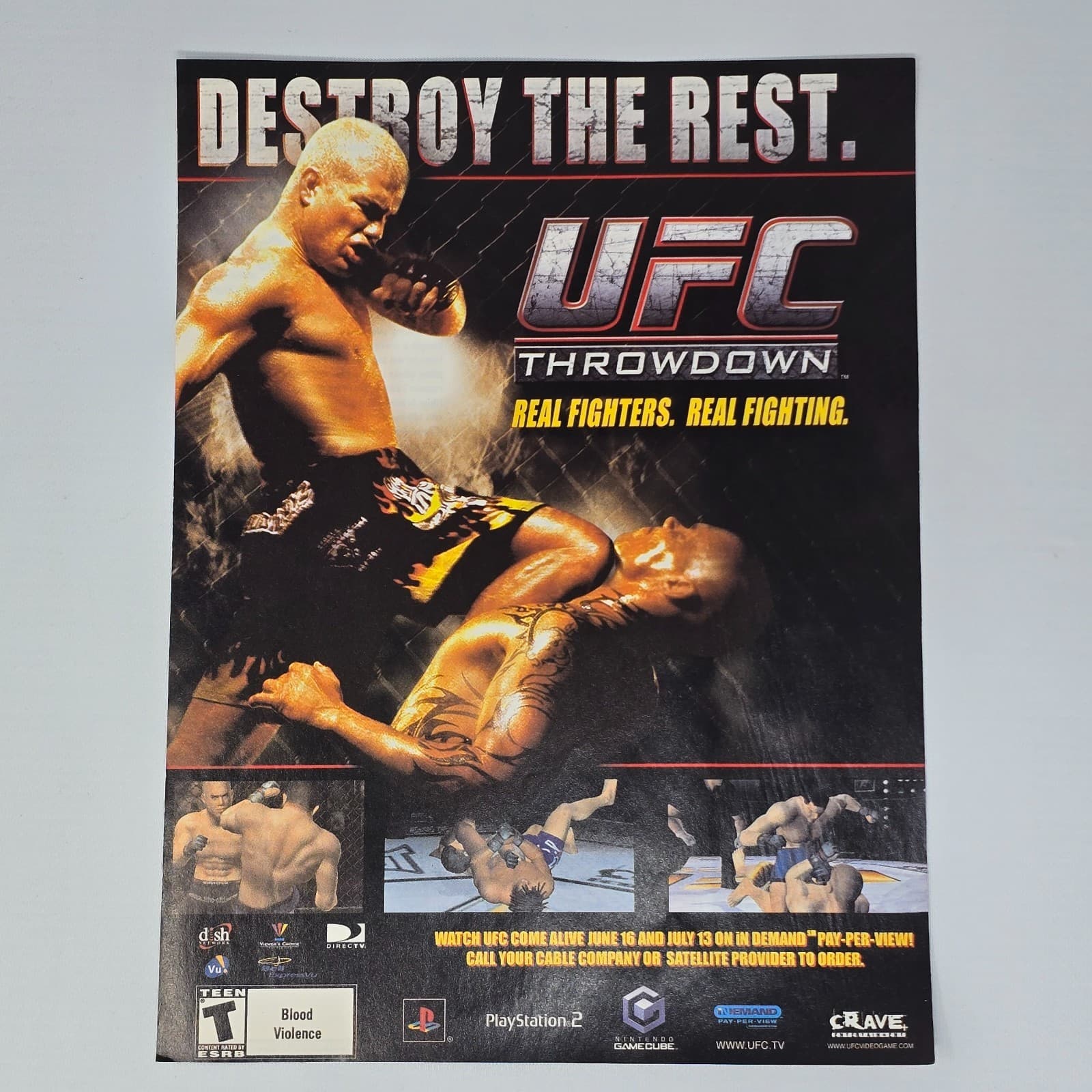 UFC Throwdown PlayStation 2 PS2 GameCube Destroy Print Ad/Poster