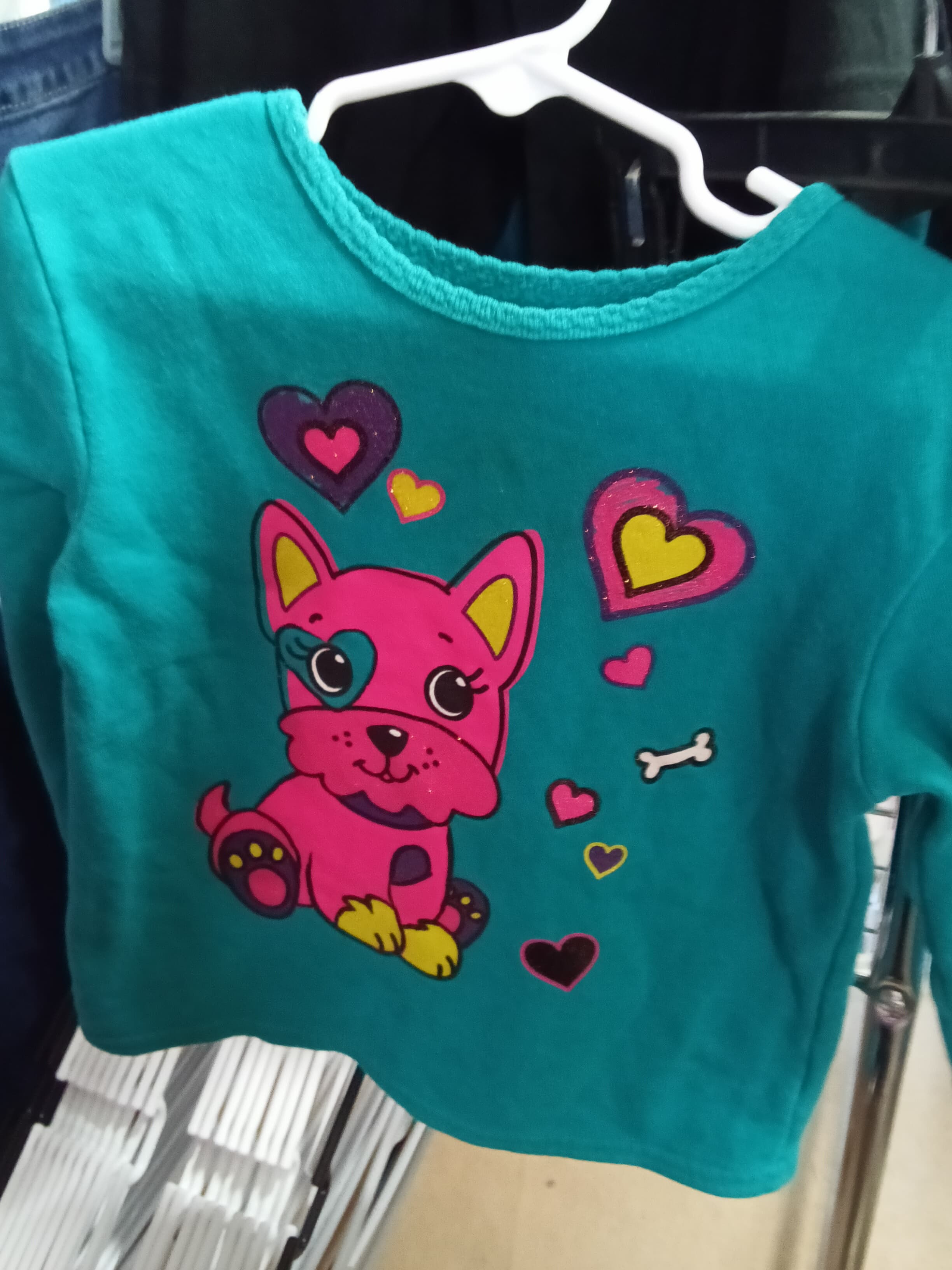 Kids Teal Long Sleeve Shirt with Pink Dog Graphic