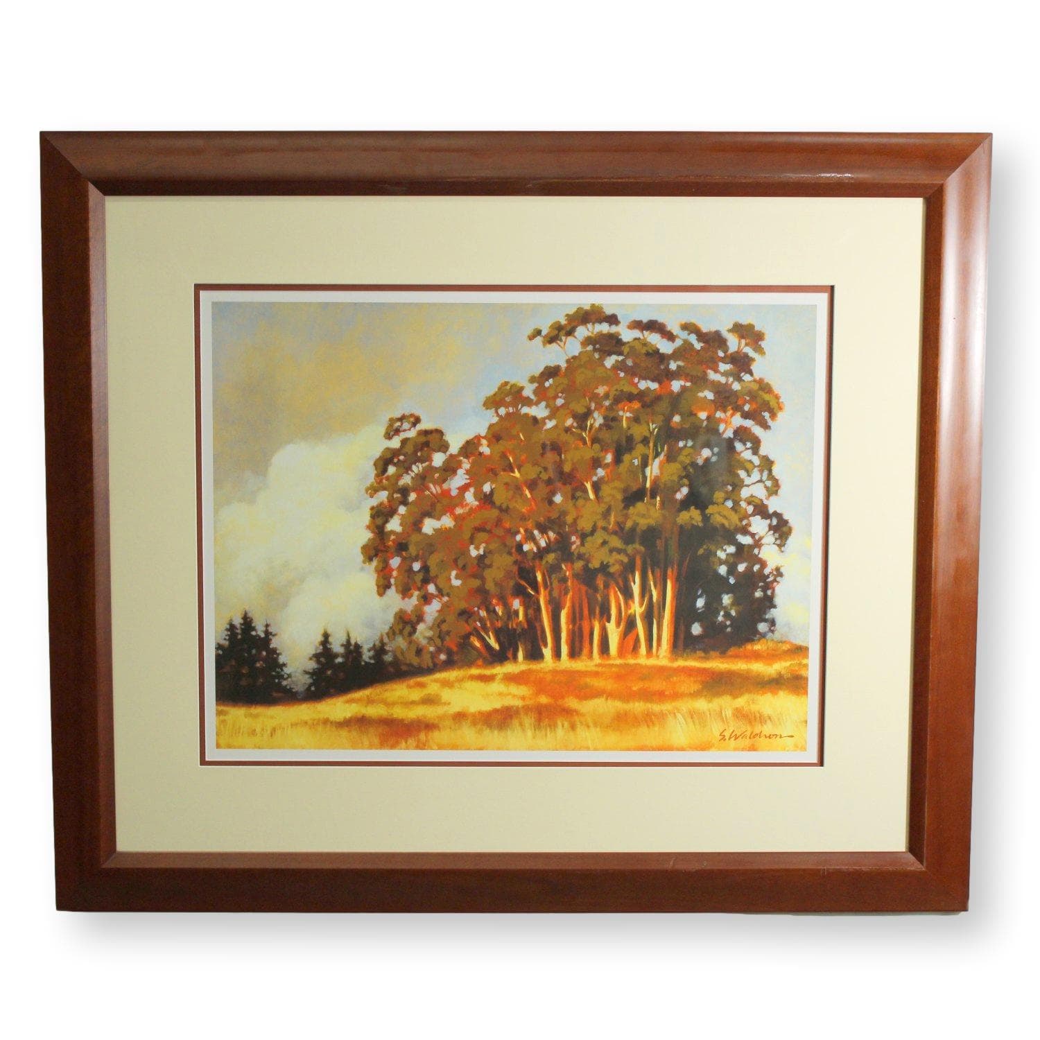 Eucalyptus Artwork by Waldron