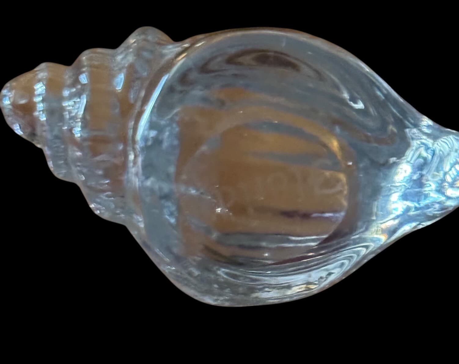 Vintage Conch Sea Shell Clear Glass Art Paperweight 5"