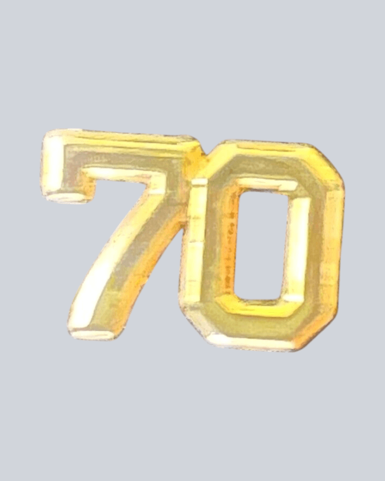 Vintage Goldtone 1970's Tie Tack