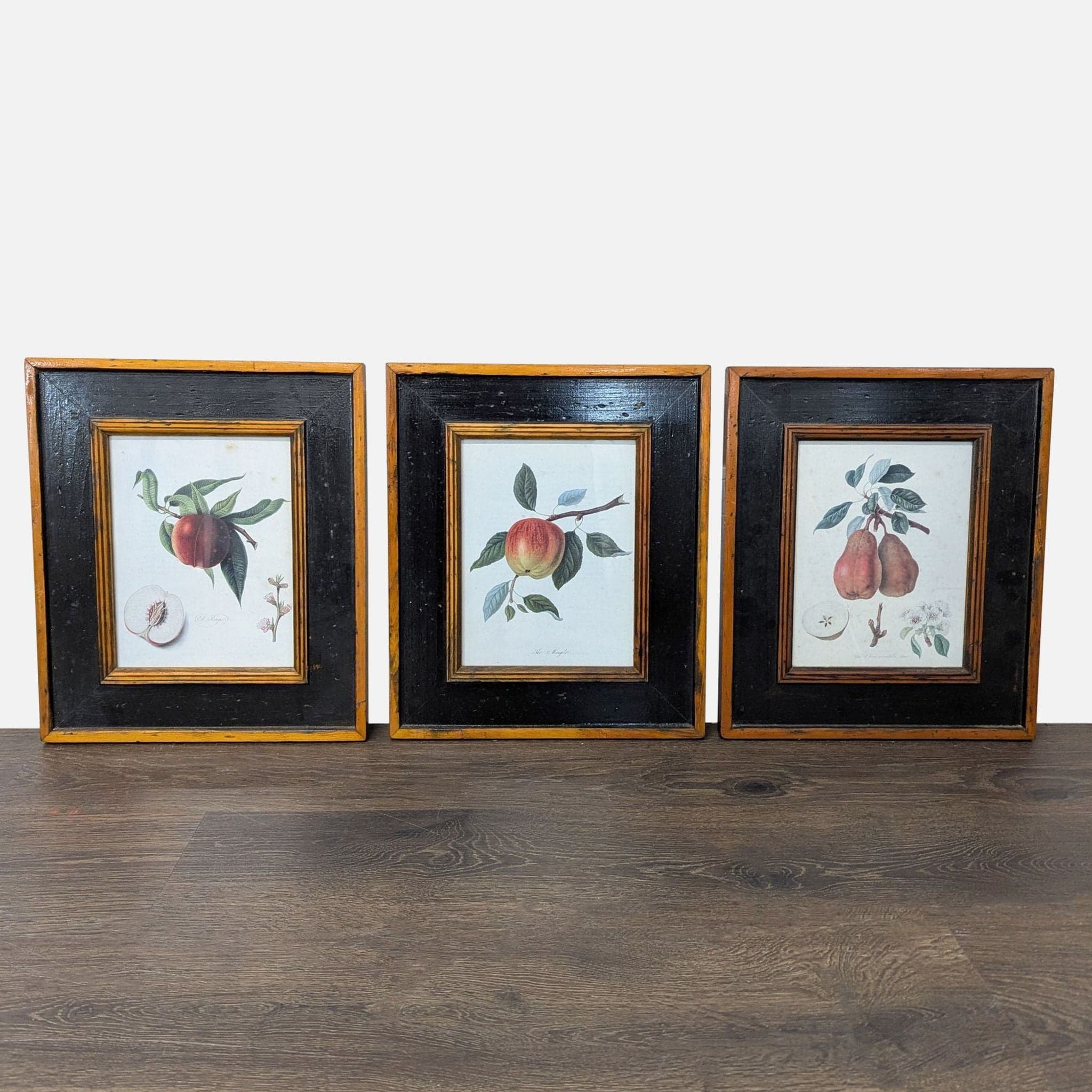 Set of 3 Framed Botanical Fruit Prints – Classic Wall Art Decor