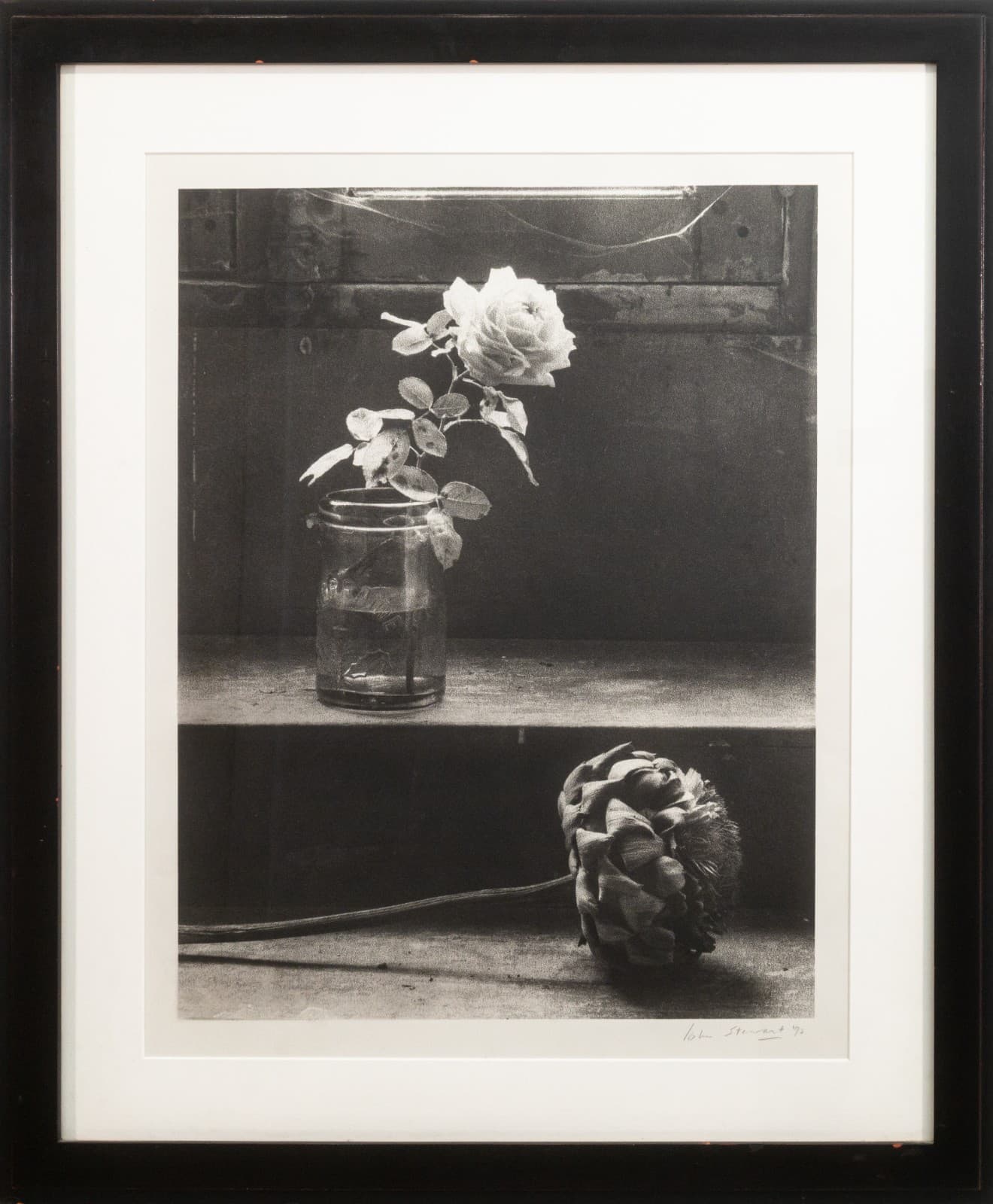 John Stewart - Rose and Artichoke, 1992 Signed Gelatin Silver Print Contemporary