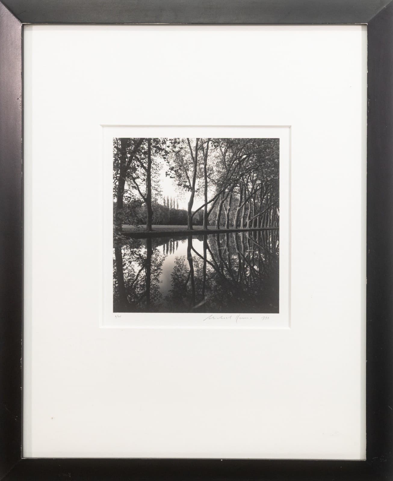 Michael Kenna - Allee d Honneur Courances France 1995 Selenium Toned
