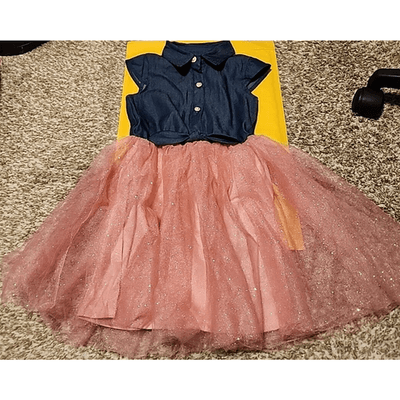 Girls Lily Bleu Sleeveless Dress Size 5 Blue Pink Fit & Flare Knee Length