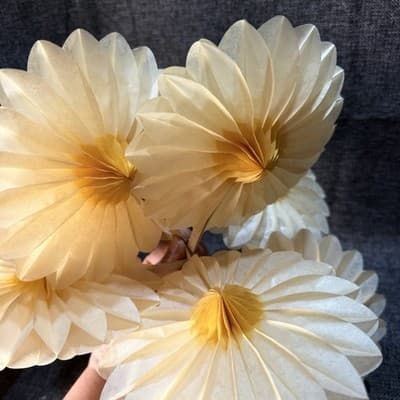 VTG Set of 8 Honeycomb Paper Flower Decorations 6" Yellow Cream Daisy MCM Party