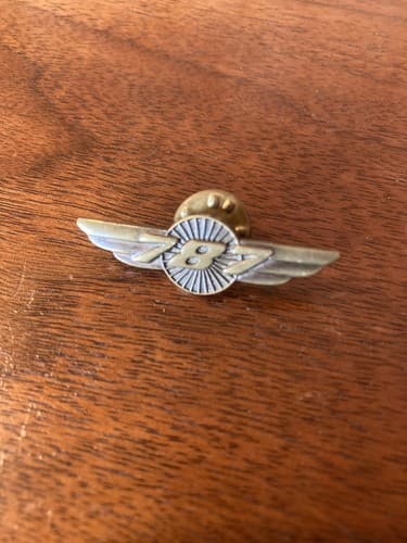Boeing 787 Wings lapel hat Pin Airplane Souvenir bronze Pilot Flight Attendant