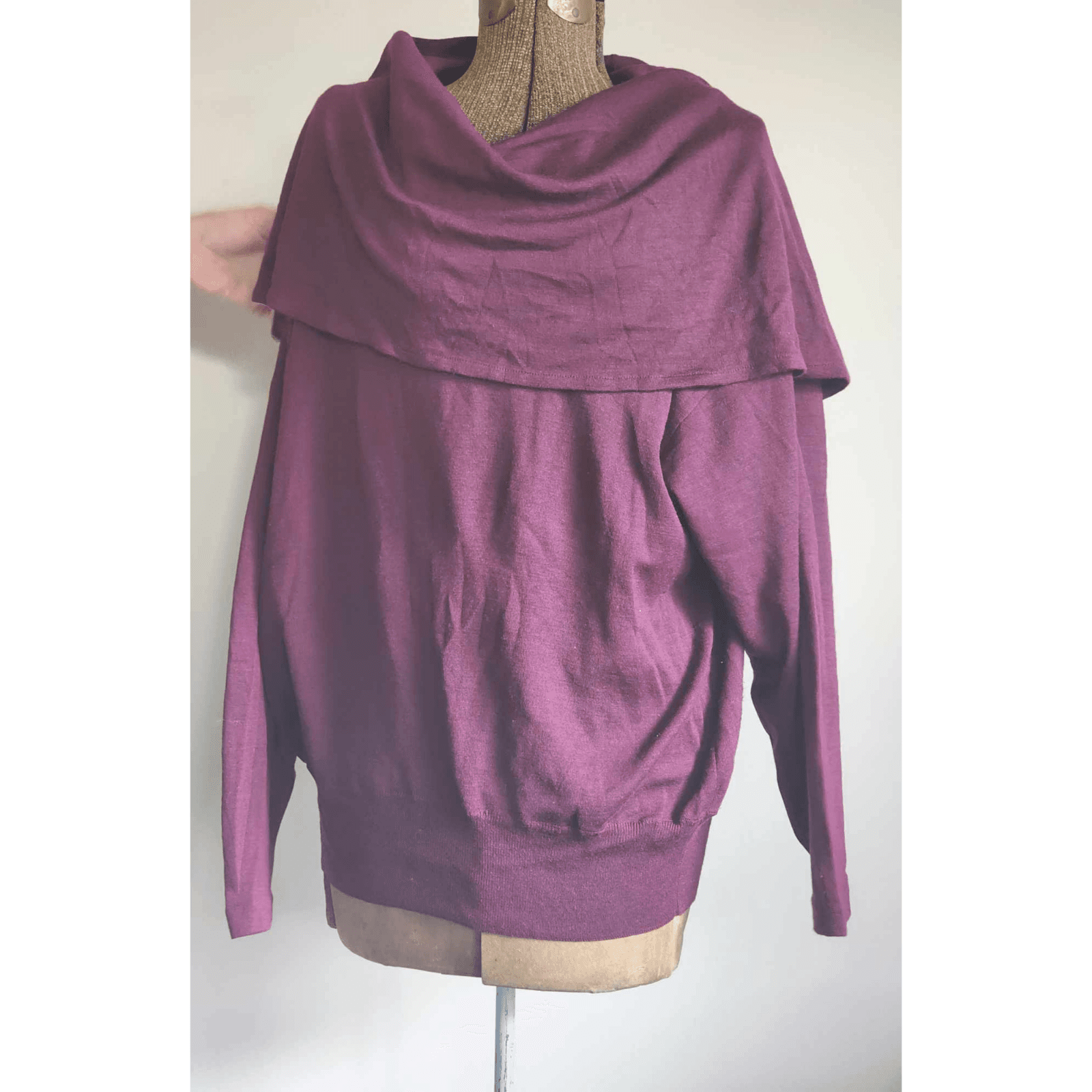 Semplice Women's Cowl Neck Purple Sweater Size XL Soft and Stretchy Long Sleeve