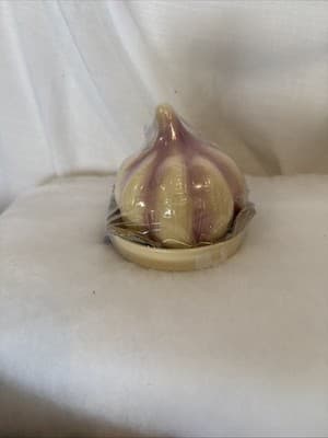 Garlic Ceramic Onion Roaster Keeper Baker Ivory Purple Kitchen Glass Dish NIB