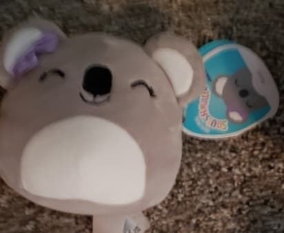 NWT Squishmallows 12" Rosa the Koala Plush – HTF Claire's Exclusive