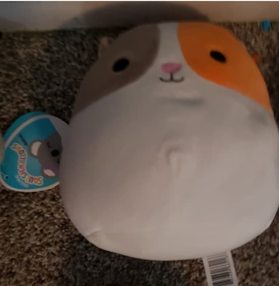 Squishmallows Everett Guinea Pig Plush Toy with Tag