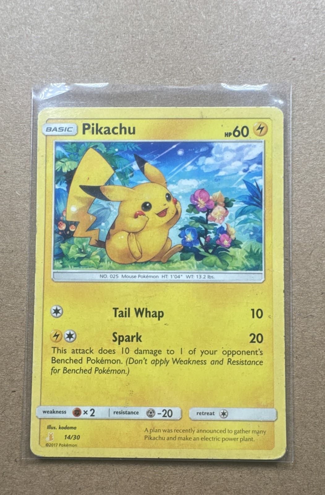 Pokémon TCG Pikachu Sun & Moon Trainer Kit (Alolan Raichu & Lycanroc) 14/30...