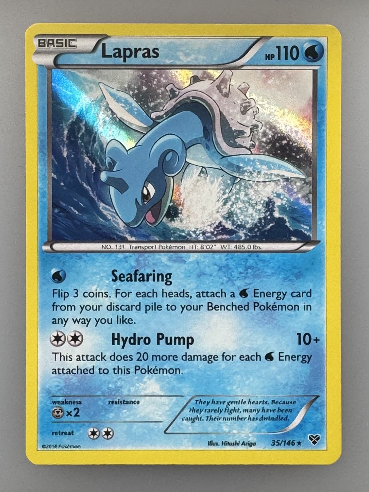 Lapras 35/146 XY Holo