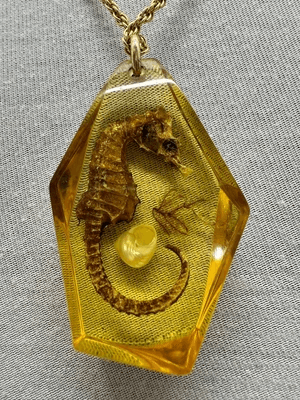 2A2. 1960s Art Deco Celluloid Seahorse Pendant/Necklace