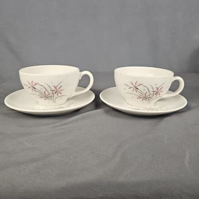 Carefree True China Cup & Saucer Flame Lily Syracuse Set of 2 USA