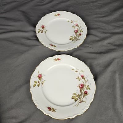 Briar Rose 7.5" Salad Plate Eschenbach Barvaria Germany Set of 2