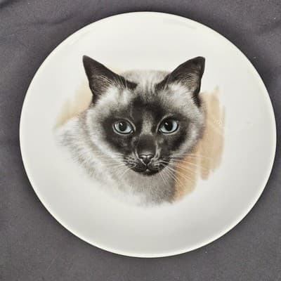 Siamese Cat Plate Bavaria Germany Golden Crown E&R Vintage Beautiful Kitty 7.5"