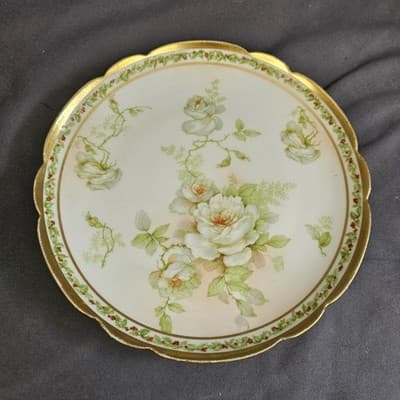 Old Abby Antique Limoges France Plate BM de M Coronet Hand Painted