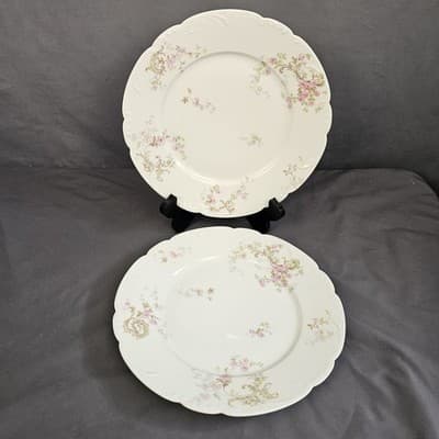 2 Antique Theodore Haviland Limoges Pink Roses Flower Plate 10" - France