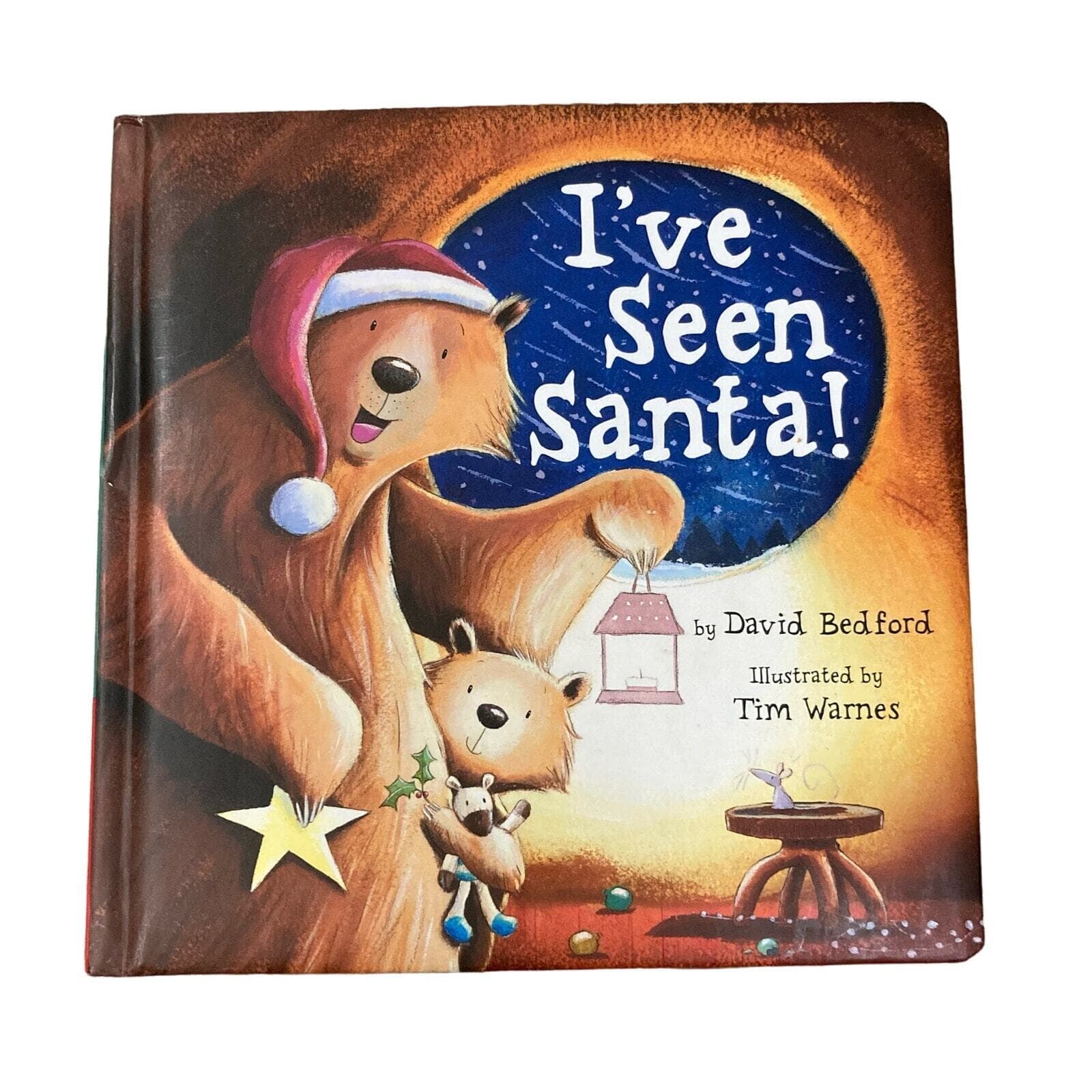 I've Seen Santa! by David Bedford, Illustrated by Tim Warnes Children's Book