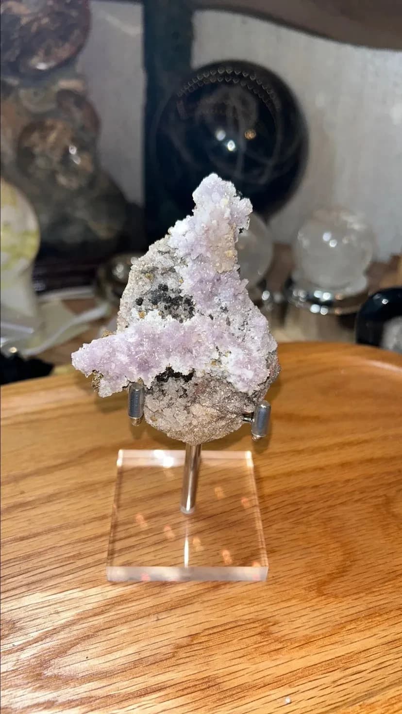 Creedite