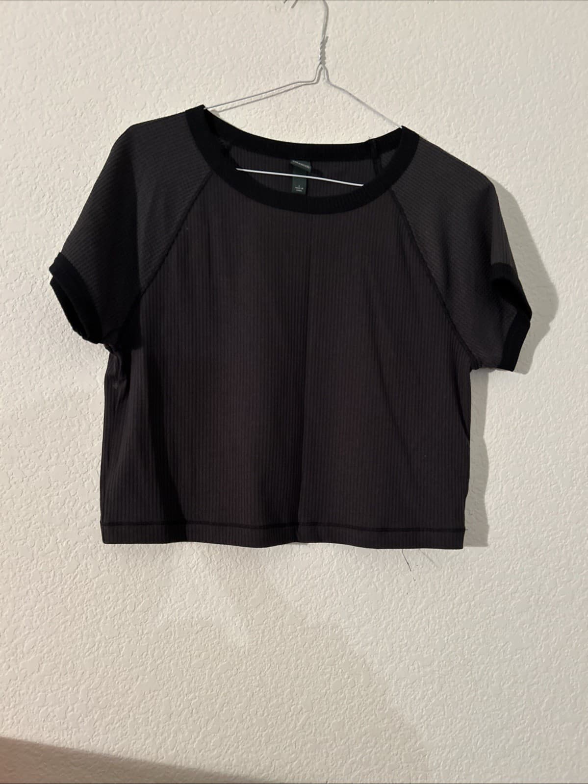 Wild Fable Womens T-Shirt Cropped Short Sleeve Grey Trimmed In Black Size Large