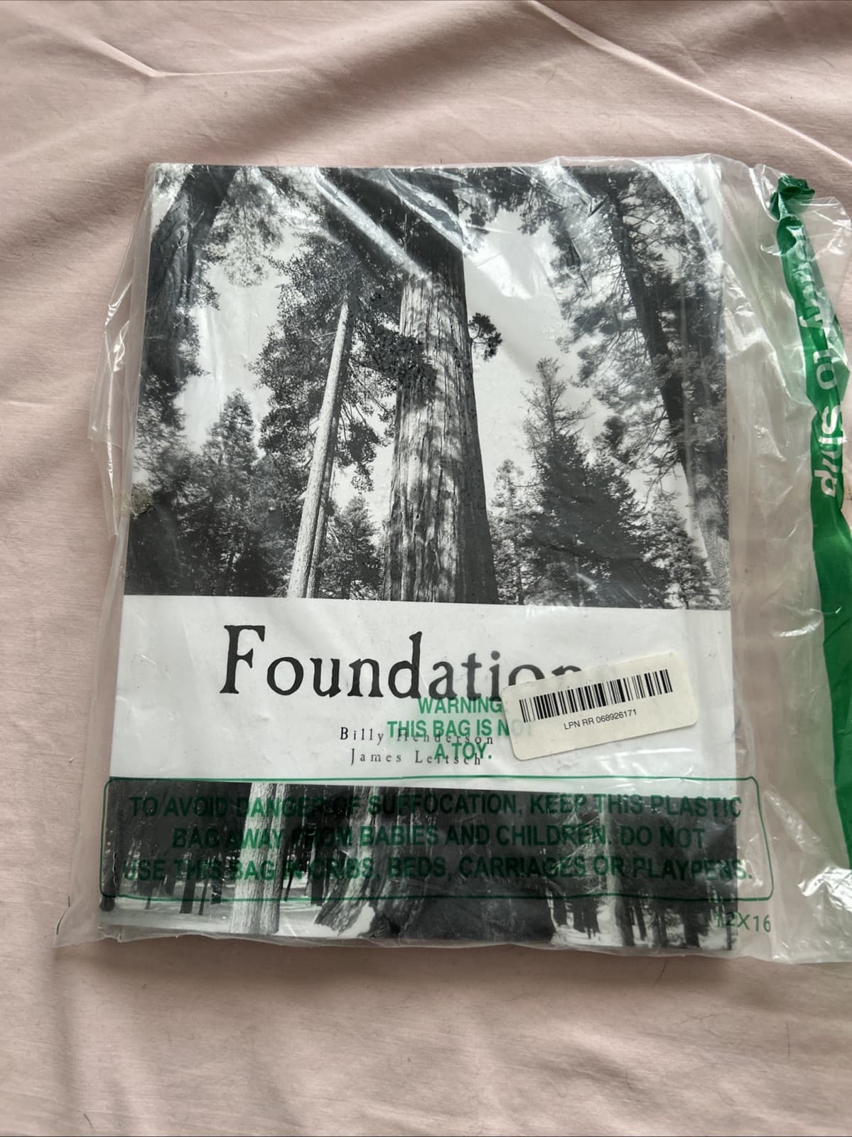 Foundations by Billy Henderson (2012, Trade Paperback)