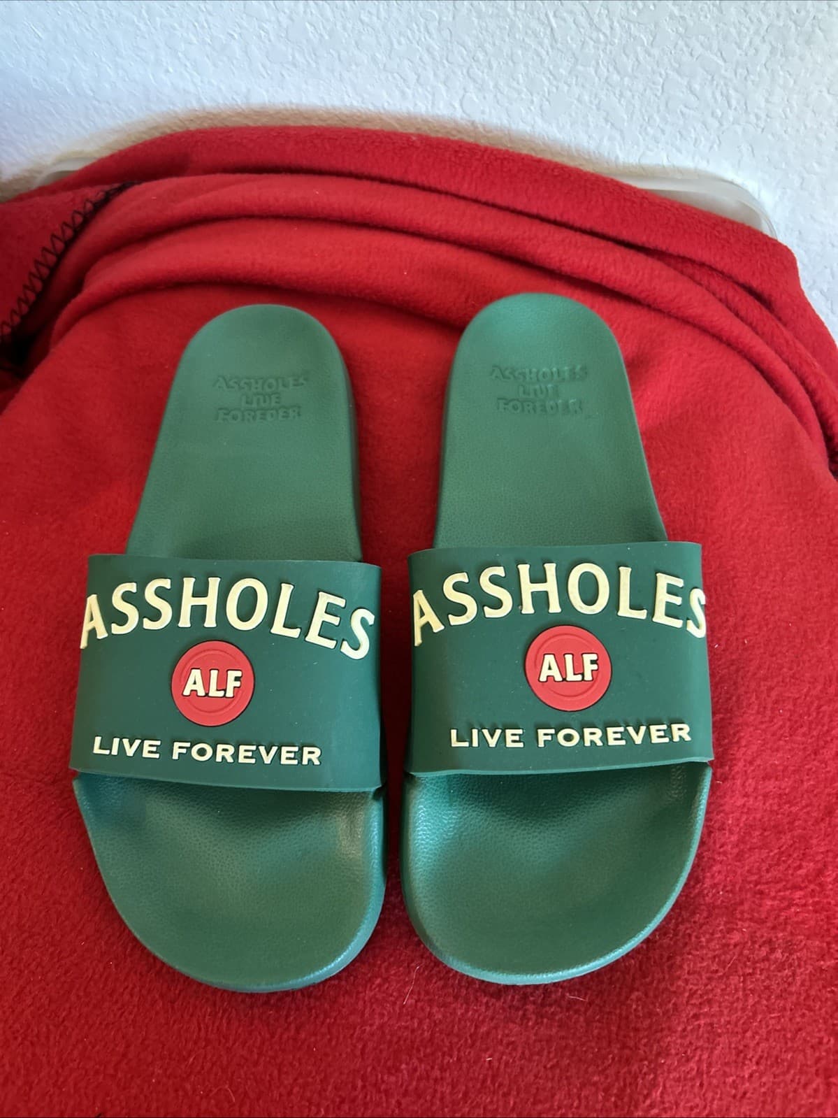 Youth Slides Size 5 Alf A$$holes Live Forever Green New