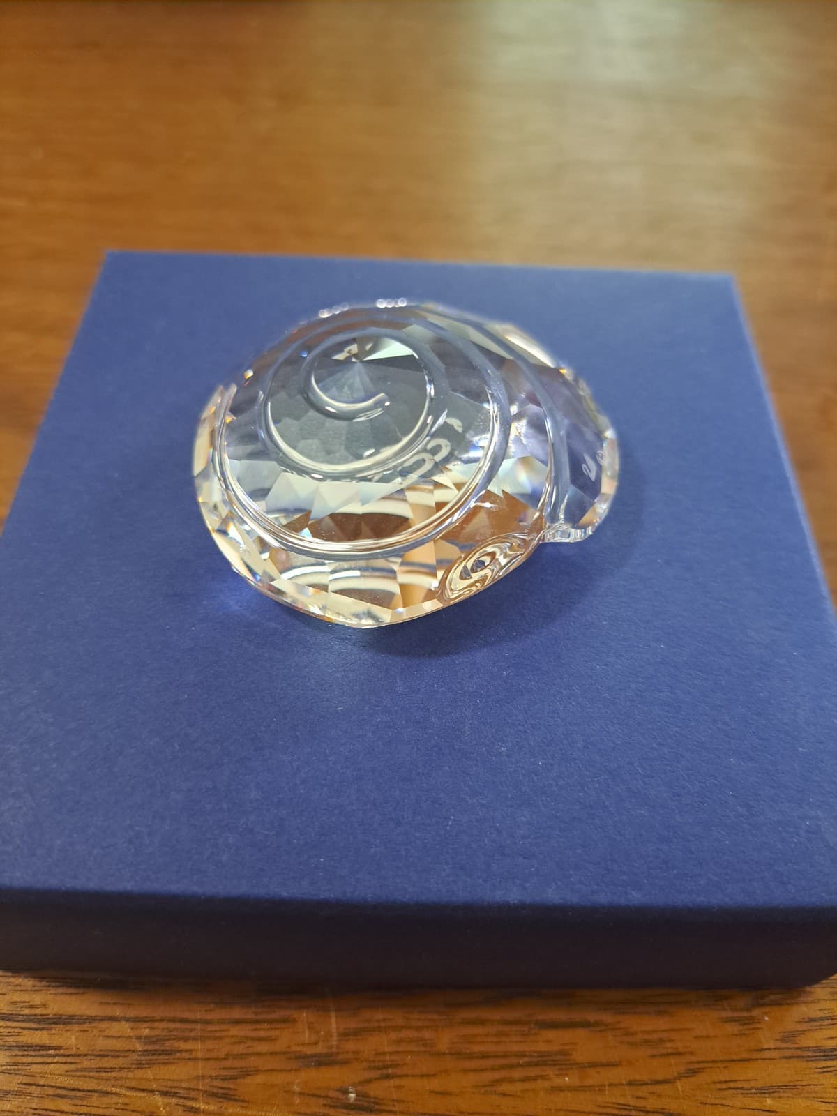 Swarovski Crystal SCS 2007 Member Gift Spiral Top Shell Figurine 880693 W/ Box