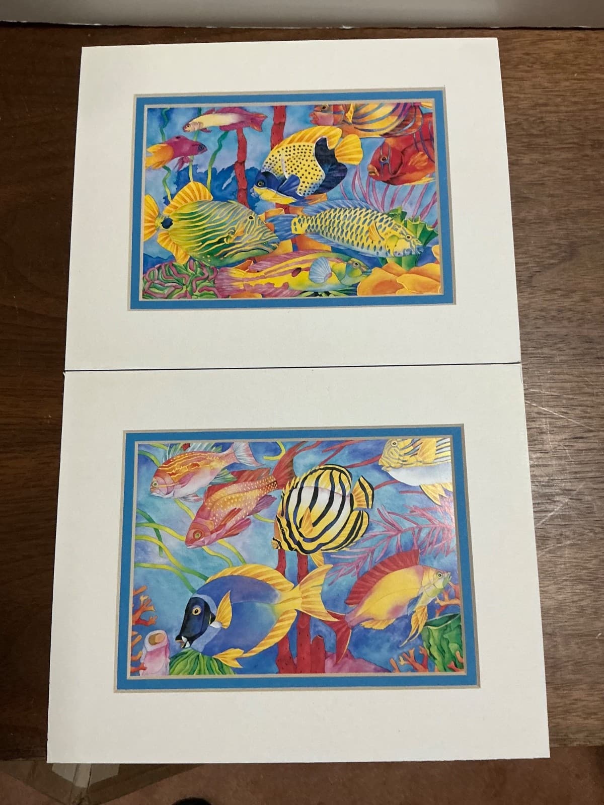 Barbara Wallace Fish Frolic 2 Matted Art Prints Colorful Tropical Sea Life 5x7
