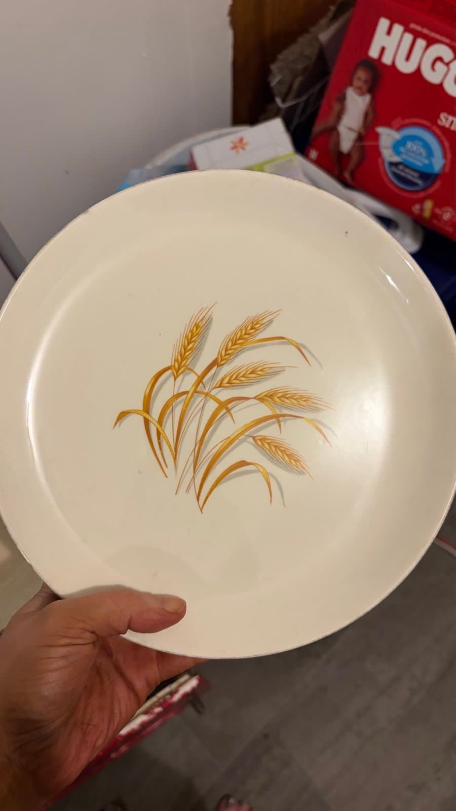 Vintage Golden Weat Dinner Plates