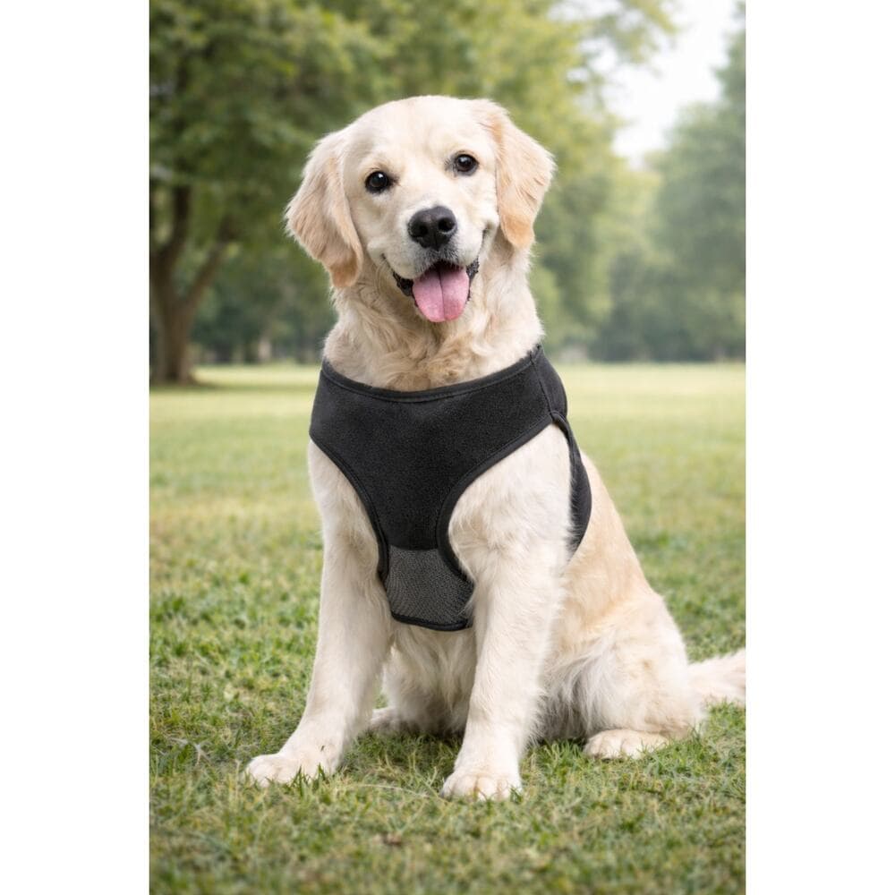 2 in 1 Retractable Leash and Harness for Dogs - L/XL - Magnetic - 36 - 80 pounds