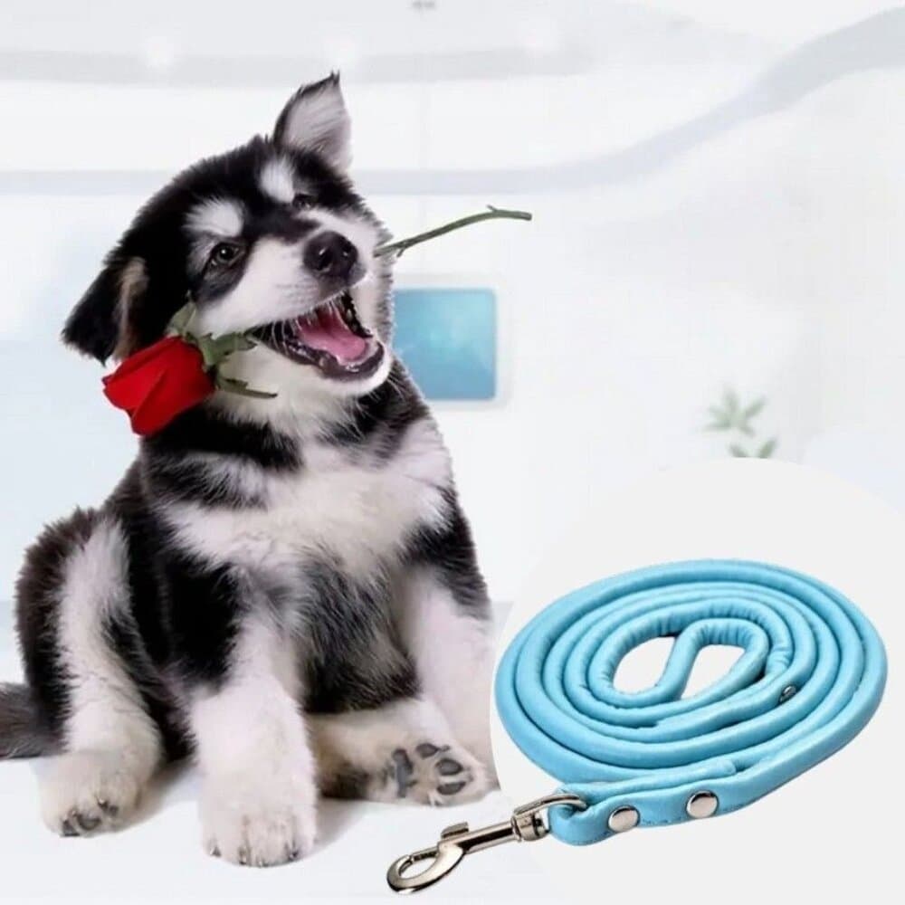 Xander Rey Light Blue Leather Dog Leash Gift Packaged