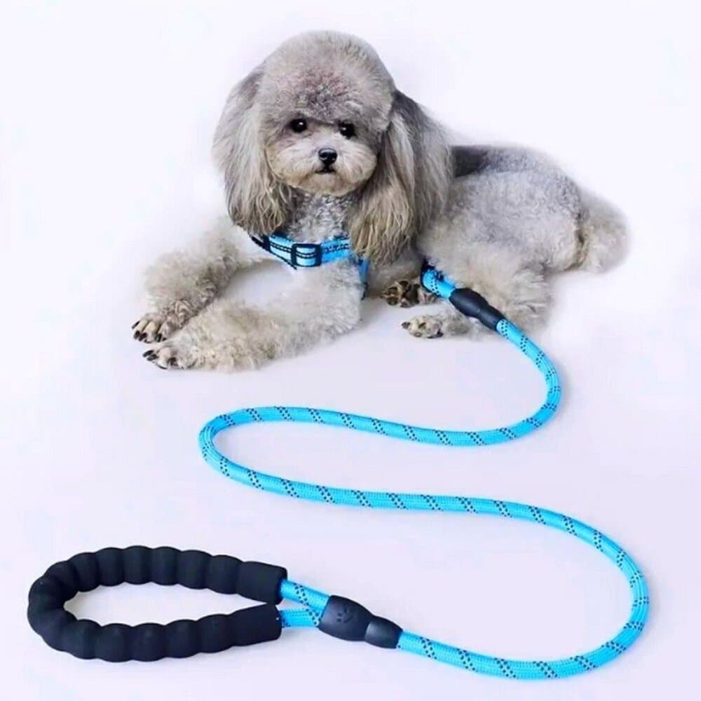 Tadeo Dash Blue Reflective Rope Leash with Padded Loop Handle and Rotating Clip