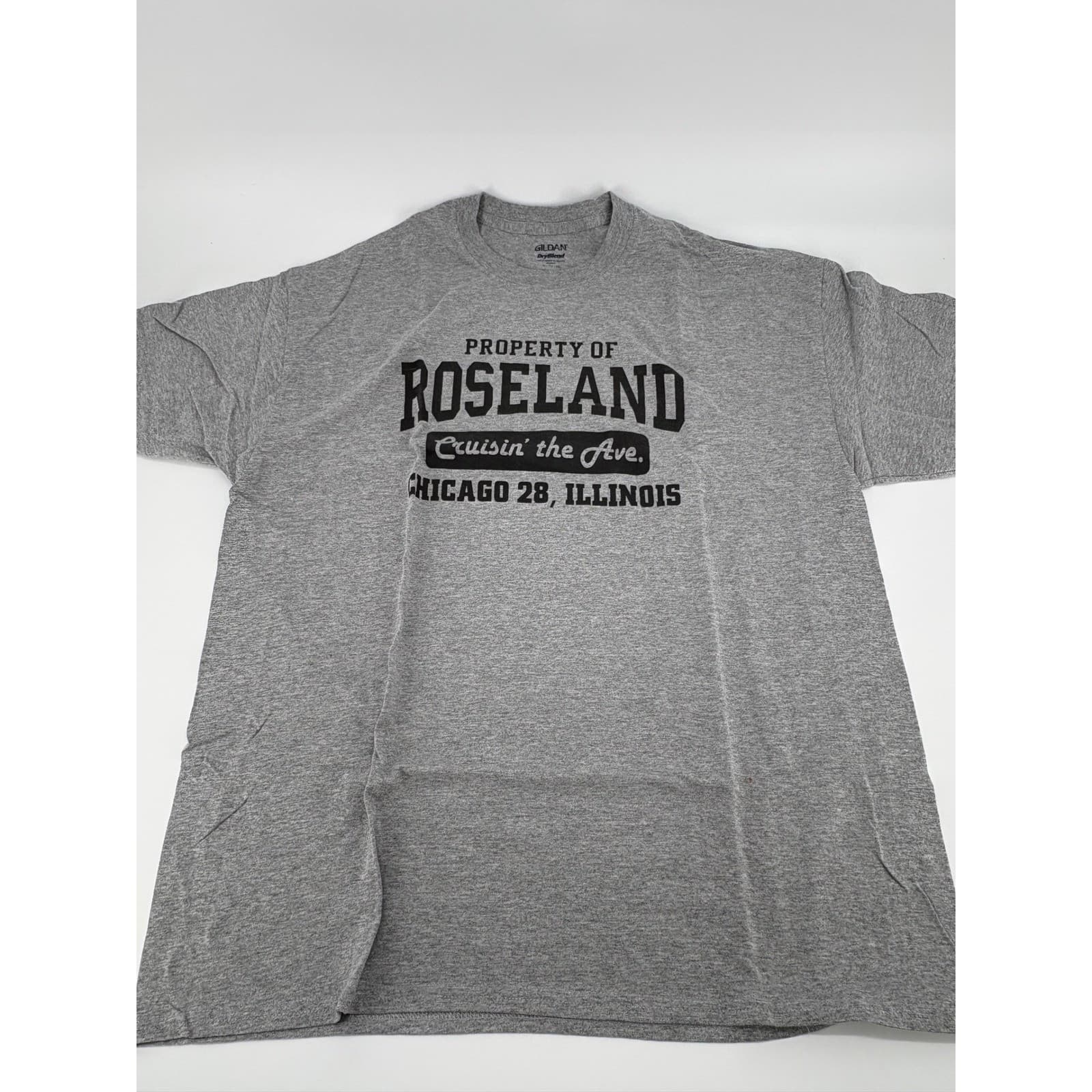 Gildan T-Shirt Mens XL Tee Gray Property of Roseland Chicago Illinois DryBlend