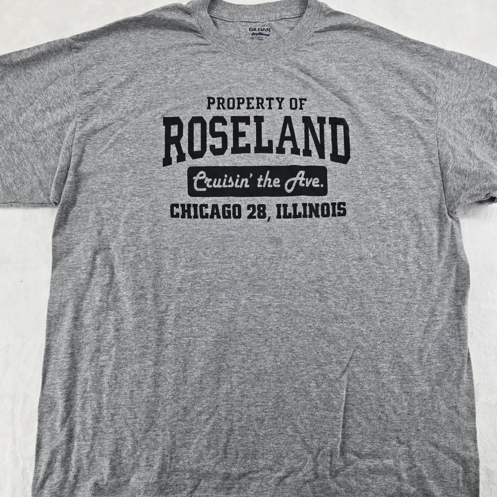 Gildan T Shirt Mens XL T Shirt Gray Property of Roseland Chicago Illinois 6754