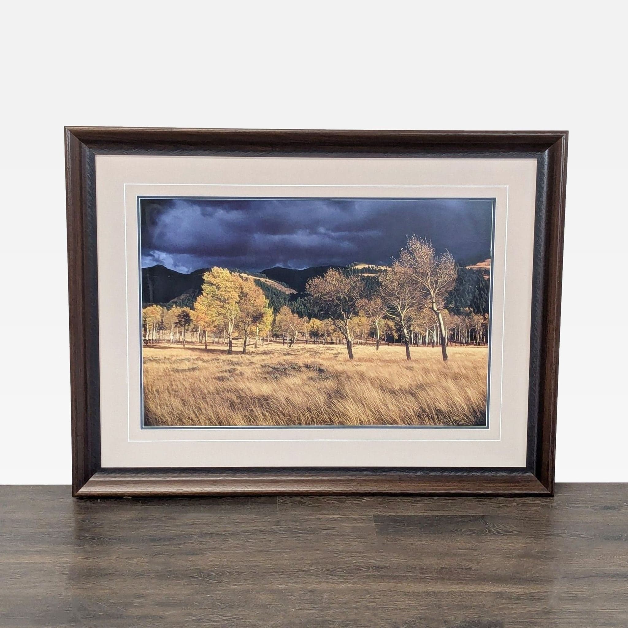 Thomas Mangelsen “Winds Of Change” Framed Landscape Print – Trees in Field Wall Art