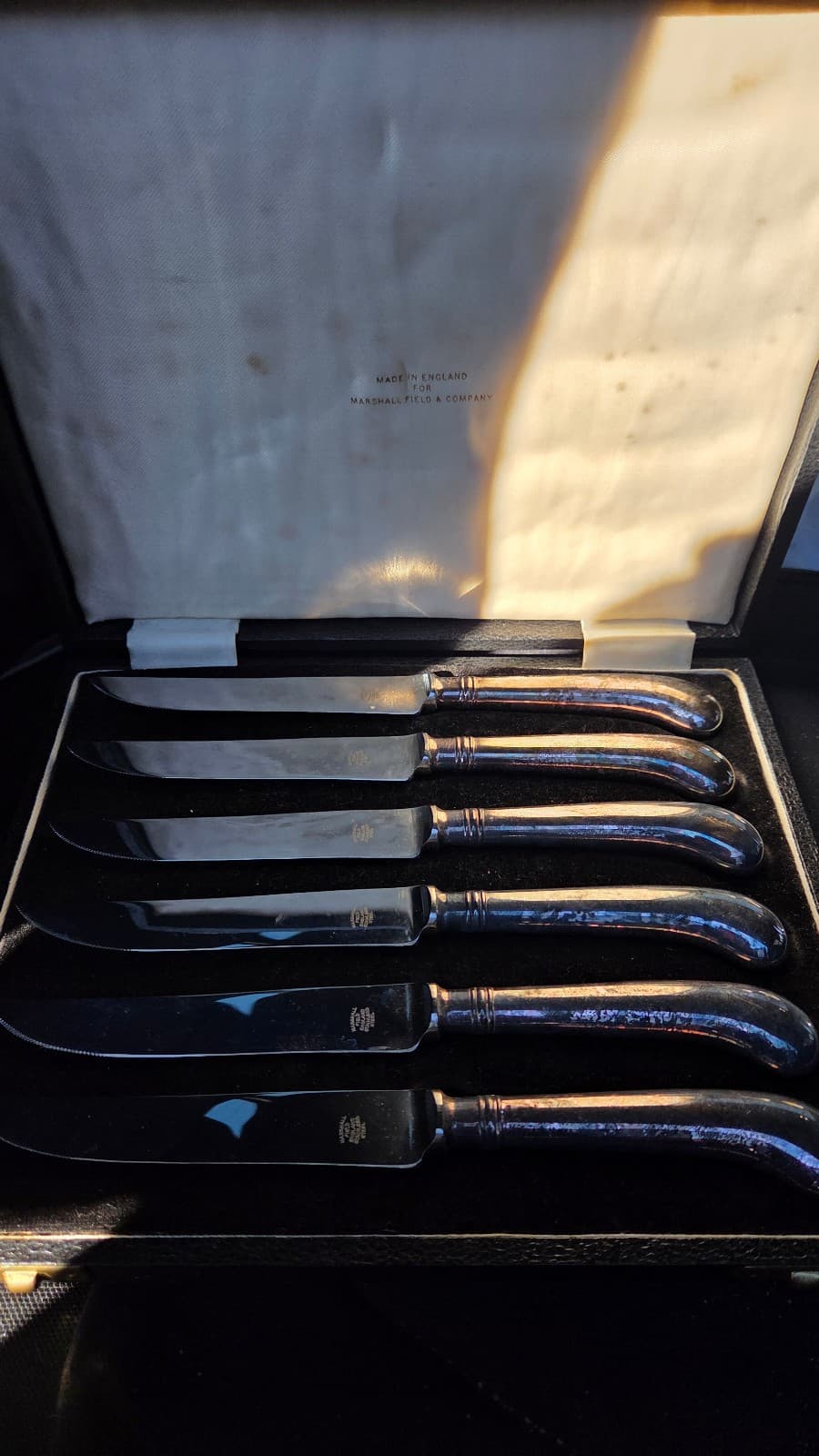 Set of steak knives with case