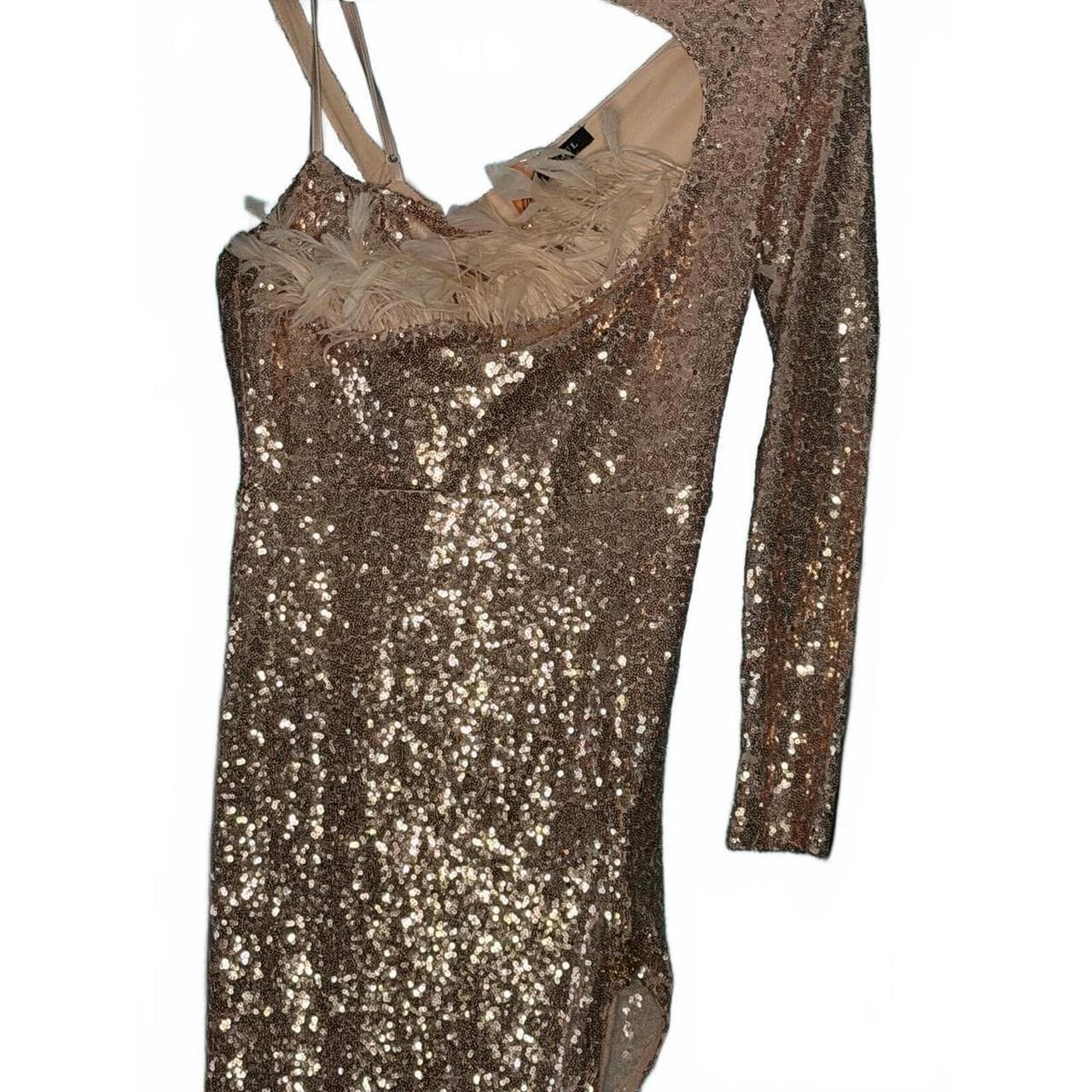 Banjul Metallic Sequin & Feather Party Dress ✨