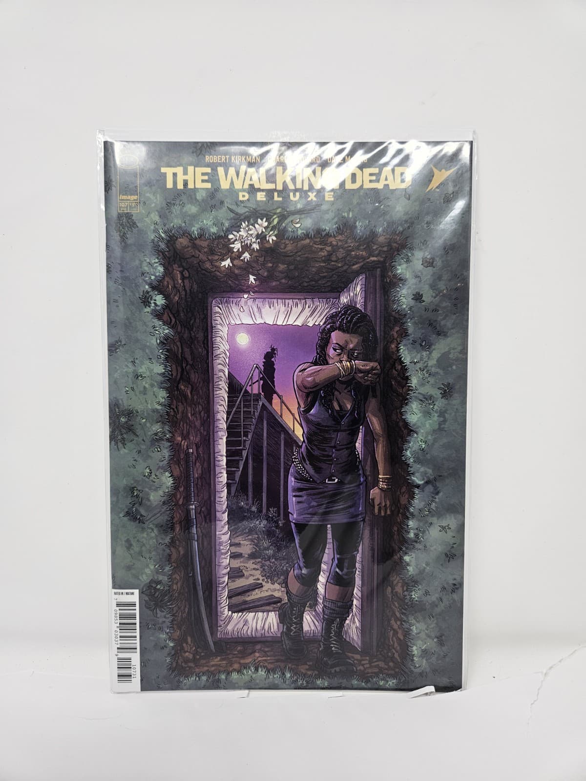 WALKING DEAD DLX #107 Cvr C Image Comics 2025 Sealed Free Ship
