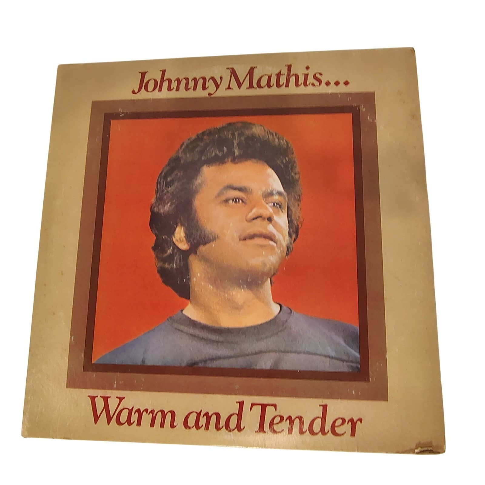 Johnny Mathis Vinyl Record Warm and Tender 2 LP Columbia Musical Treasury 6276