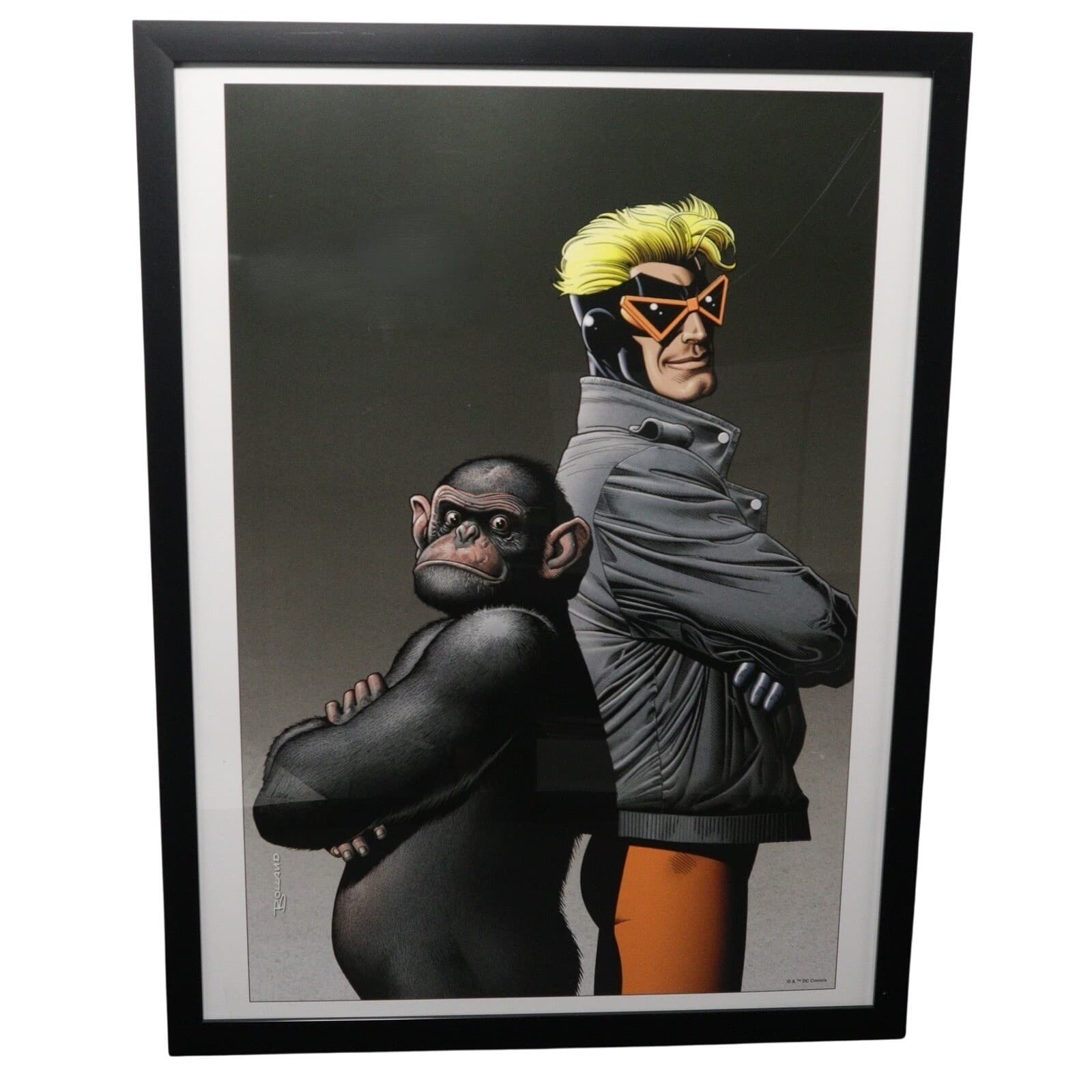 Animal Man Framed 12x16 Comic Cover Art by Brian Bolland | DC Comics
